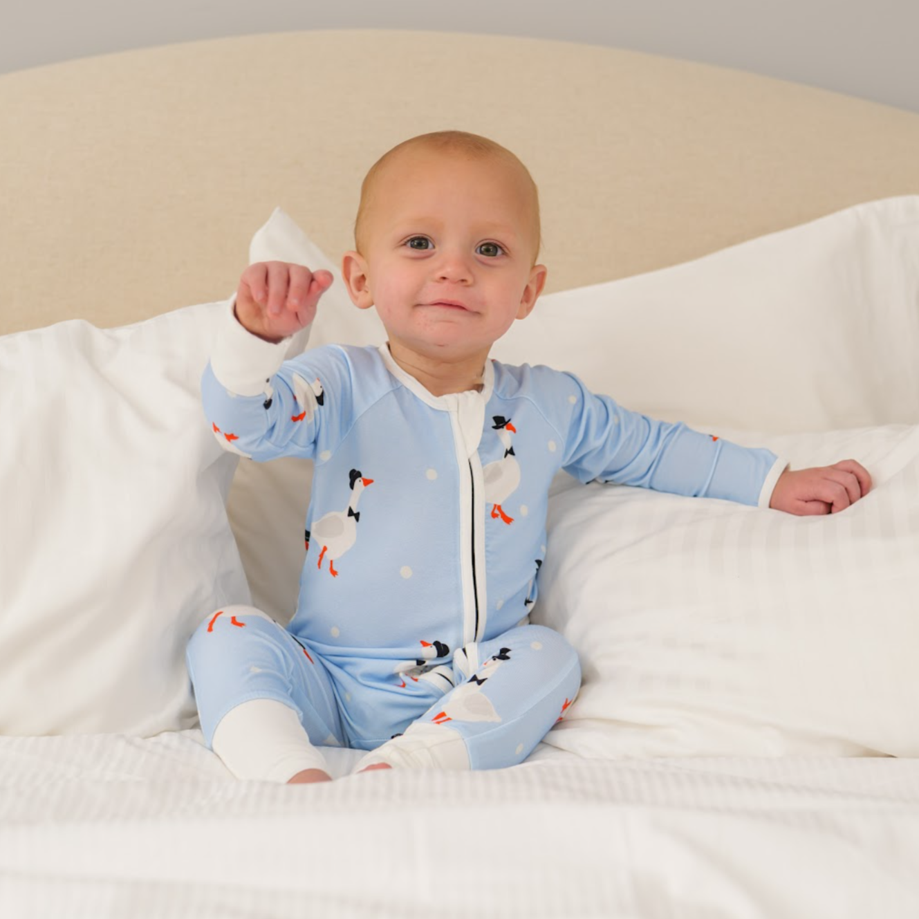 Canada goose 4 sales in 1 7kg